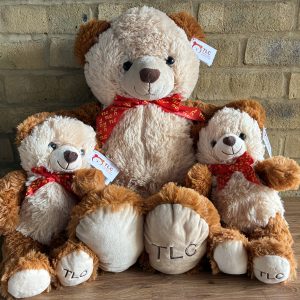 Fundraising Bears